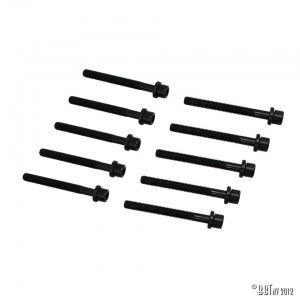 Cylinderhead bolts (10 pieces)