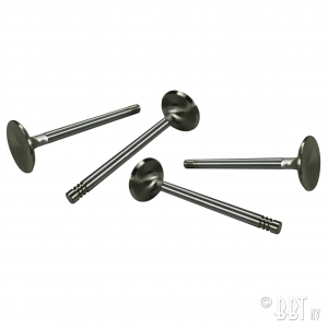 S/S valves 35.5 mm by 4